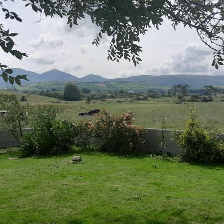 Villa Oaktree Manor Castlewellan Exterior foto